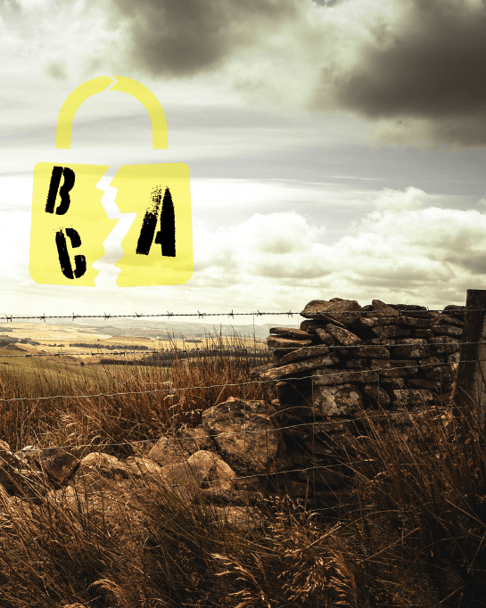 BAC – Bozuk Erişim Kontrolü Nedir? –&nbsp;A01:2021